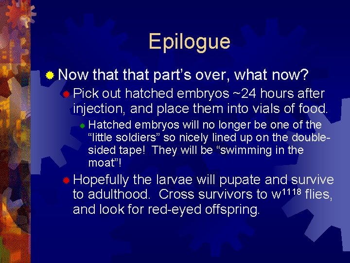 Epilogue ® Now that part’s over, what now? ® Pick out hatched embryos ~24