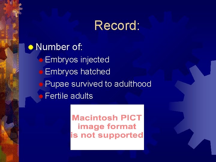 Record: ® Number of: ® Embryos injected ® Embryos hatched ® Pupae survived to