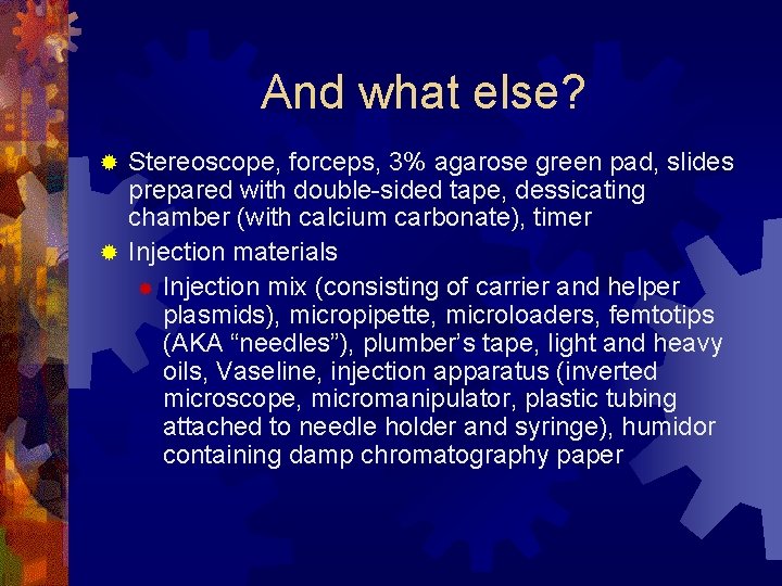 And what else? Stereoscope, forceps, 3% agarose green pad, slides prepared with double-sided tape,