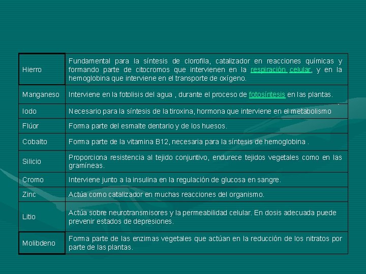 Hierro Fundamental para la síntesis de clorofila, catalizador en reacciones químicas y formando parte