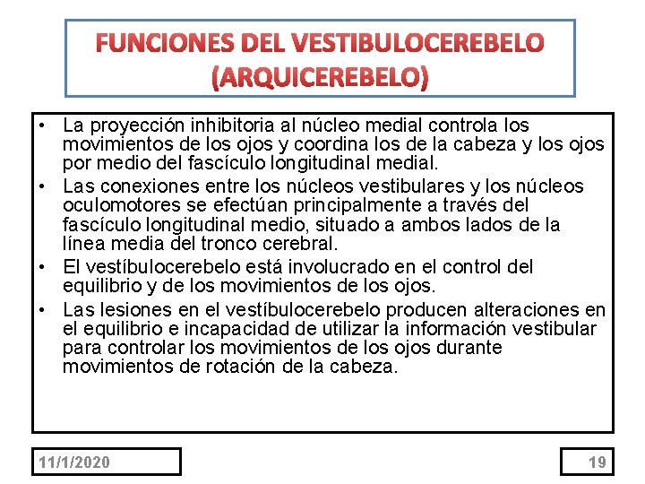 FUNCIONES DEL VESTIBULOCEREBELO (ARQUICEREBELO) • La proyección inhibitoria al núcleo medial controla los movimientos