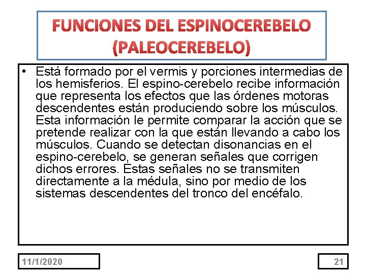 FUNCIONES DEL ESPINOCEREBELO (PALEOCEREBELO) • Está formado por el vermis y porciones intermedias de