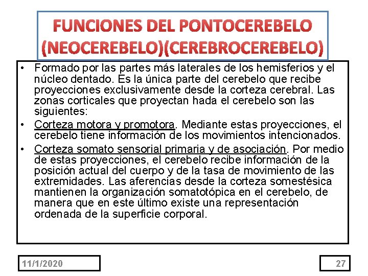 FUNCIONES DEL PONTOCEREBELO (NEOCEREBELO)(CEREBROCEREBELO) • Formado por las partes más laterales de los hemisferios