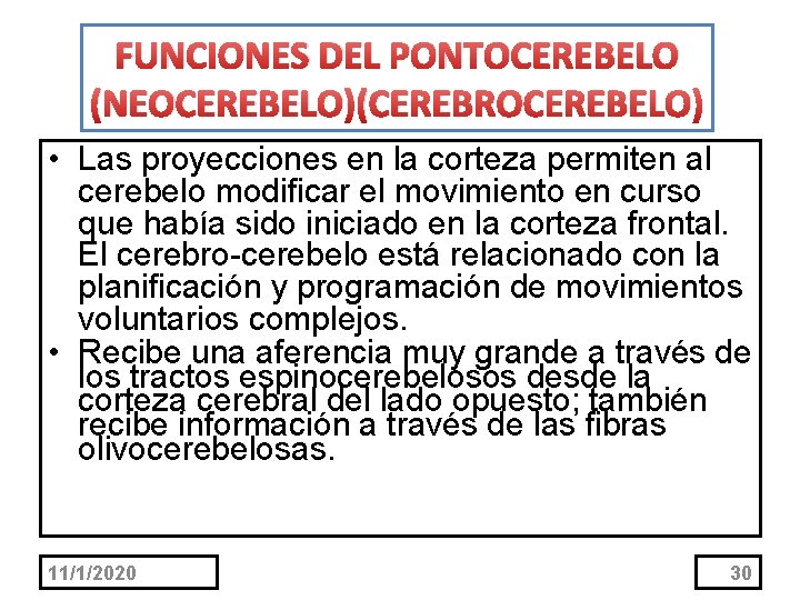 FUNCIONES DEL PONTOCEREBELO (NEOCEREBELO)(CEREBROCEREBELO) • Las proyecciones en la corteza permiten al cerebelo modificar