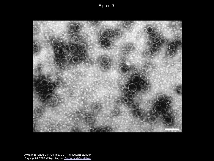 Figure 9 JPharm. Sci 2005 941794 -1807 DOI: (10. 1002/jps. 20394) Copyright © 2005