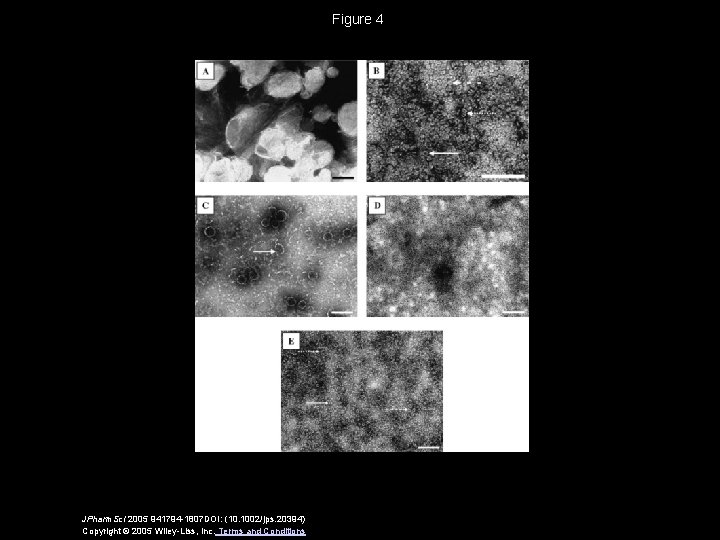 Figure 4 JPharm. Sci 2005 941794 -1807 DOI: (10. 1002/jps. 20394) Copyright © 2005