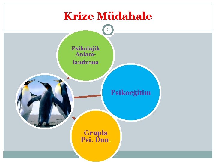 Krize Müdahale 9 Psikolojik Anlamlandırma Psikoeğitim Grupla Psi. Dan. 