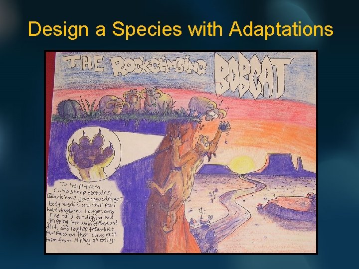 Design a Species with Adaptations 