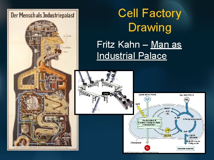 Cell Factory Drawing Fritz Kahn – Man as Industrial Palace 