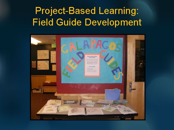 Project-Based Learning: Field Guide Development 