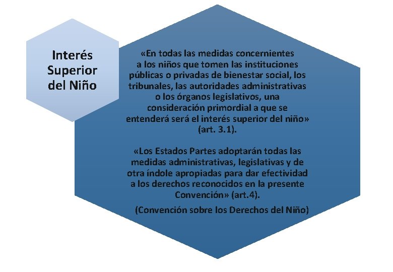 Interés Superior del Niño «En todas las medidas concernientes a los niños que tomen