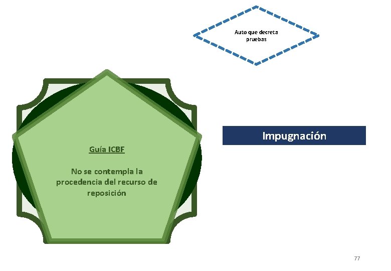 Auto que decreta pruebas Lineamiento ICBF Protocolo ICBF Guía ICBF Impugnación No se prevé