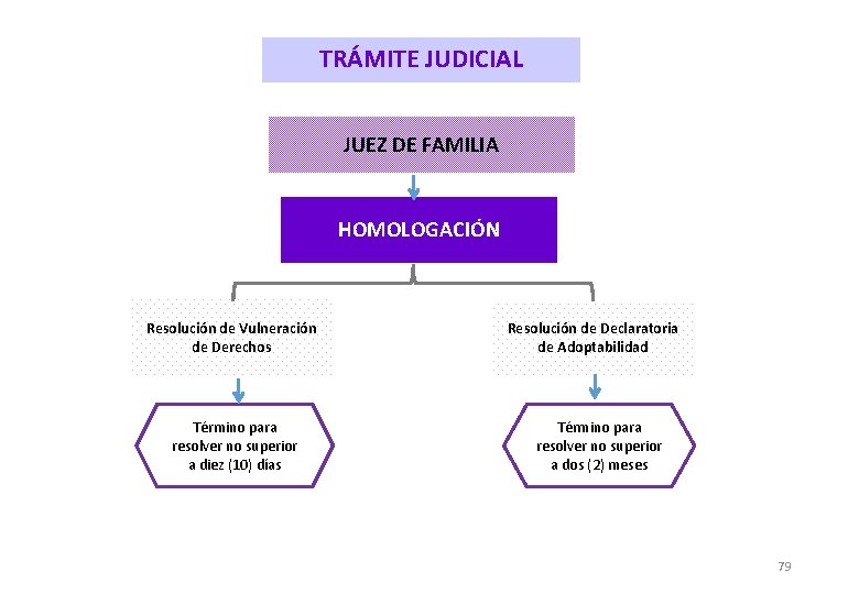 TRÁMITE JUDICIAL JUEZ DE FAMILIA HOMOLOGACIÓN Resolución de Vulneración de Derechos Término para resolver