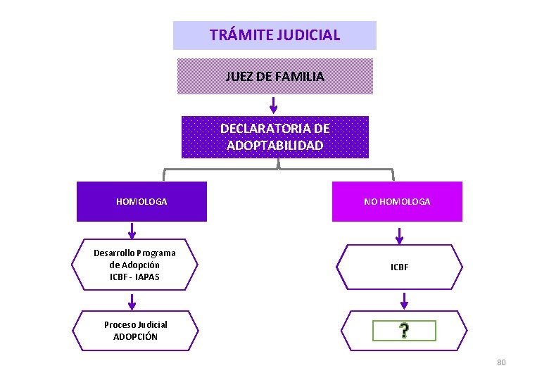 TRÁMITE JUDICIAL JUEZ DE FAMILIA DECLARATORIA DE ADOPTABILIDAD HOMOLOGA Desarrollo Programa de Adopción ICBF