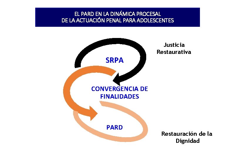 EL PARD EN LA DINÁMICA PROCESAL DE LA ACTUACIÓN PENAL PARA ADOLESCENTES SRPA Justicia