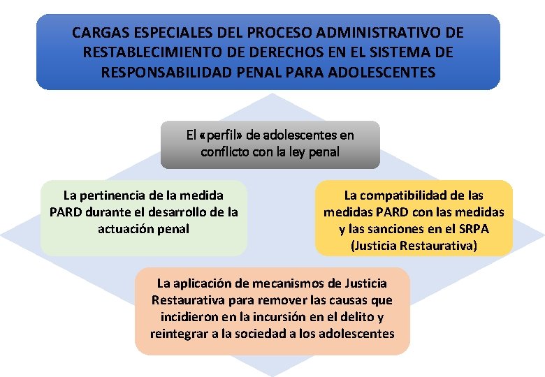 CARGAS ESPECIALES DEL PROCESO ADMINISTRATIVO DE RESTABLECIMIENTO DE DERECHOS EN EL SISTEMA DE RESPONSABILIDAD