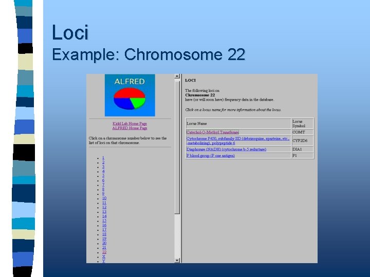 Loci Example: Chromosome 22 