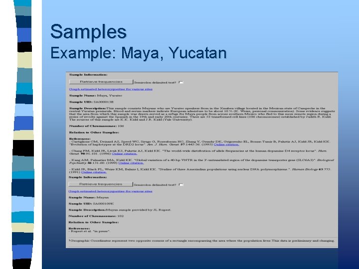 Samples Example: Maya, Yucatan 