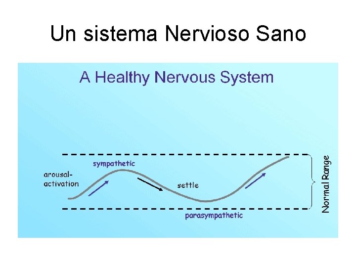 Un sistema Nervioso Sano 