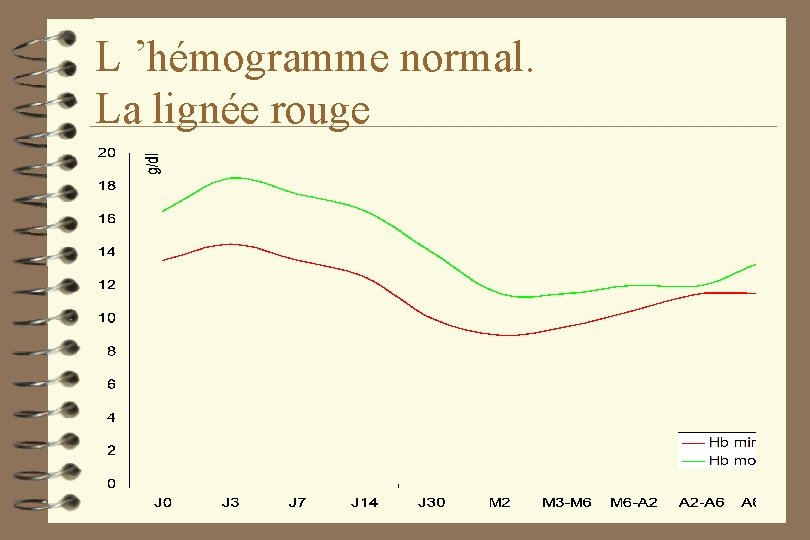 L ’hémogramme normal. La lignée rouge 