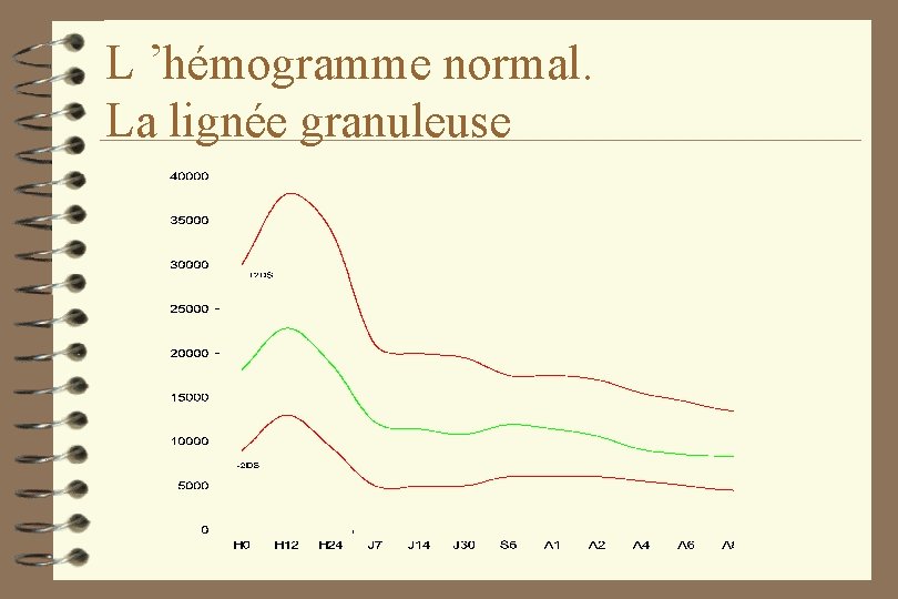 L ’hémogramme normal. La lignée granuleuse 