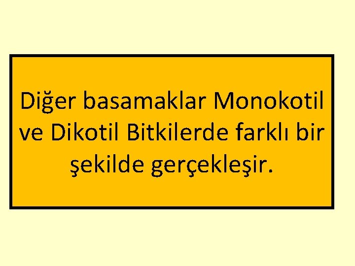 Diğer basamaklar Monokotil ve Dikotil Bitkilerde farklı bir şekilde gerçekleşir. 