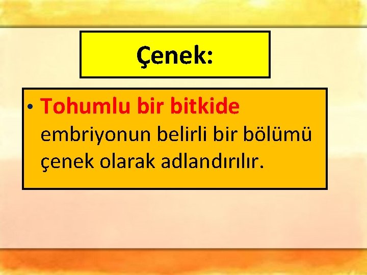 Çenek: • Tohumlu bir bitkide embriyonun belirli bir bölümü çenek olarak adlandırılır. Çenek: • Tohumlu bir bitkide embriyonun belirli bir bölümü çenek olarak adlandırılır.