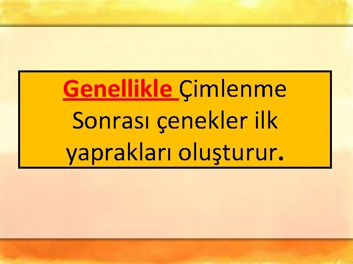 Genellikle Çimlenme Sonrası çenekler ilk yaprakları oluşturur. Genellikle Çimlenme Sonrası çenekler ilk yaprakları oluşturur.