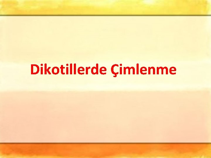 Dikotillerde Çimlenme Dikotillerde Çimlenme
