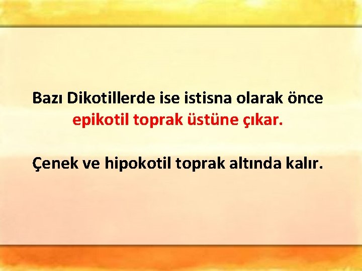 Bazı Dikotillerde istisna olarak önce epikotil toprak üstüne çıkar. Çenek ve hipokotil toprak altında