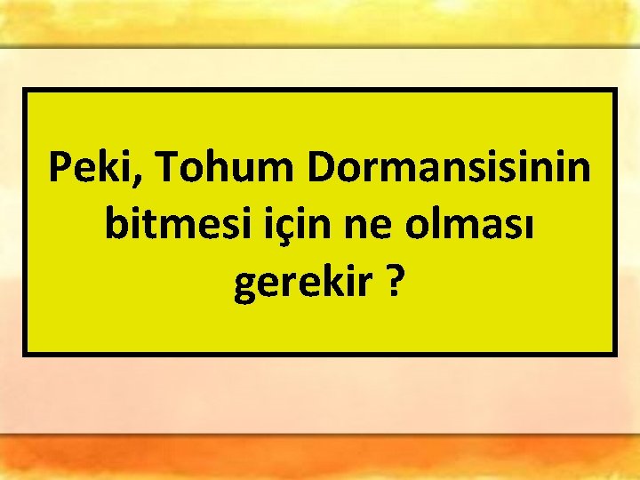 Peki, Tohum Dormansisinin bitmesi için ne olması gerekir ? 