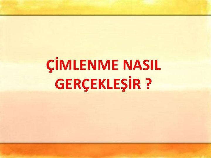 ÇİMLENME NASIL GERÇEKLEŞİR ? 