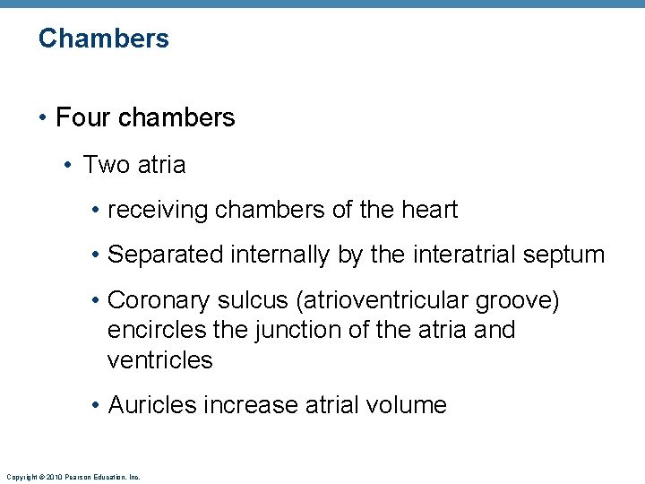 Chambers • Four chambers • Two atria • receiving chambers of the heart •
