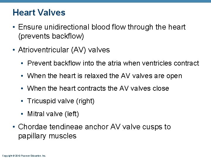 Heart Valves • Ensure unidirectional blood flow through the heart (prevents backflow) • Atrioventricular