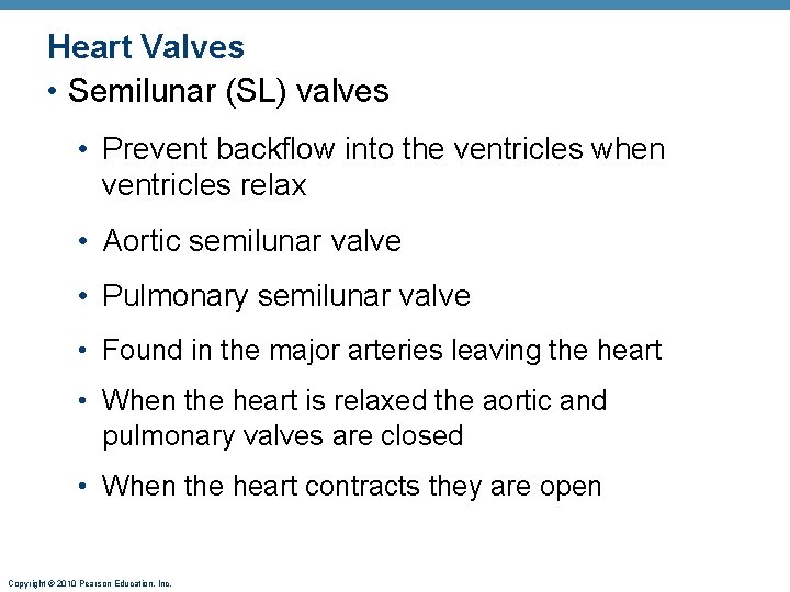 Heart Valves • Semilunar (SL) valves • Prevent backflow into the ventricles when ventricles