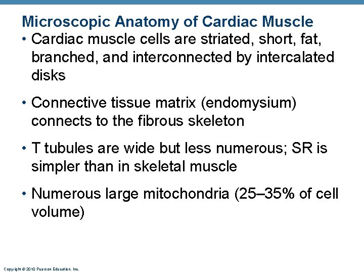 Microscopic Anatomy of Cardiac Muscle • Cardiac muscle cells are striated, short, fat, branched,