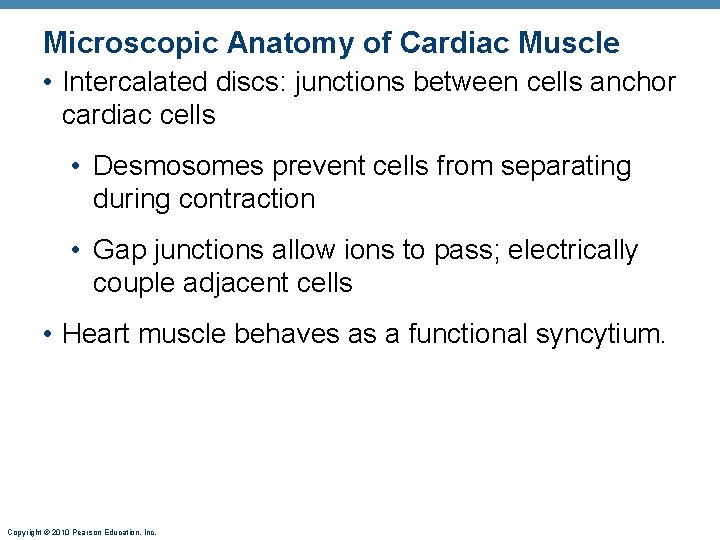 Microscopic Anatomy of Cardiac Muscle • Intercalated discs: junctions between cells anchor cardiac cells