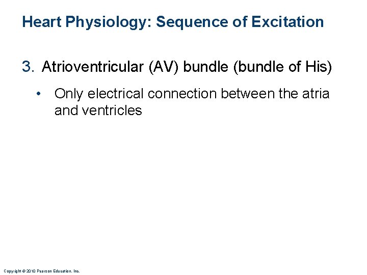 Heart Physiology: Sequence of Excitation 3. Atrioventricular (AV) bundle (bundle of His) • Only