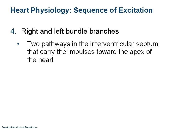 Heart Physiology: Sequence of Excitation 4. Right and left bundle branches • Two pathways