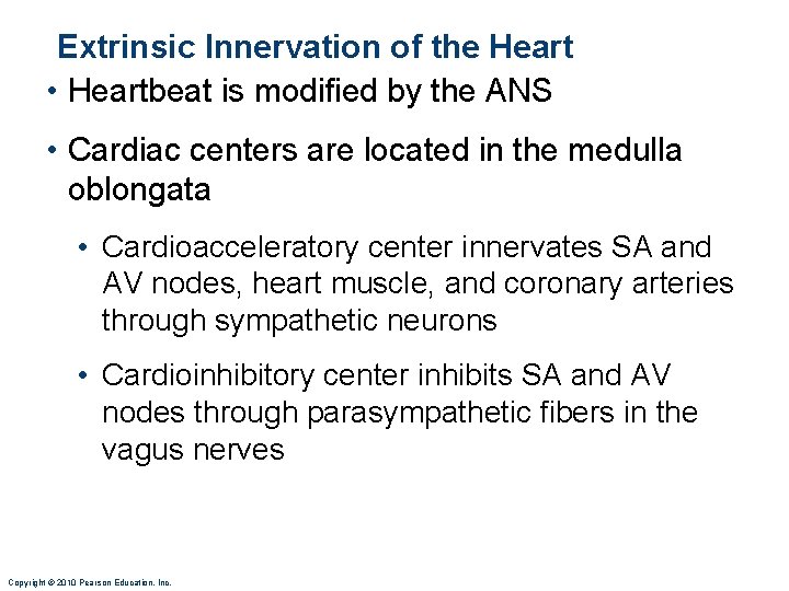 Extrinsic Innervation of the Heart • Heartbeat is modified by the ANS • Cardiac