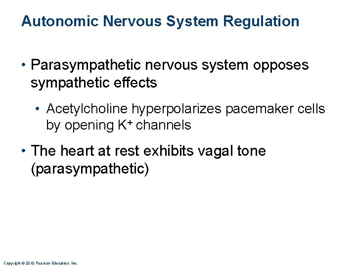 Autonomic Nervous System Regulation • Parasympathetic nervous system opposes sympathetic effects • Acetylcholine hyperpolarizes