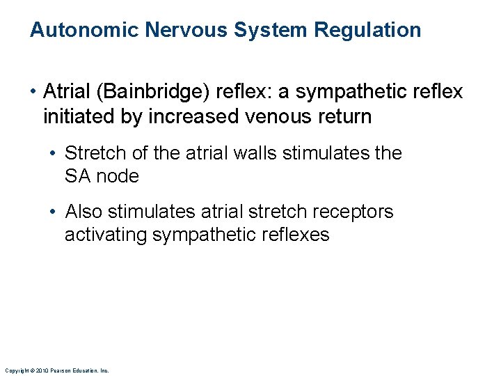 Autonomic Nervous System Regulation • Atrial (Bainbridge) reflex: a sympathetic reflex initiated by increased
