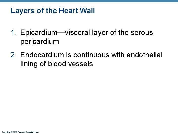 Layers of the Heart Wall 1. Epicardium—visceral layer of the serous pericardium 2. Endocardium