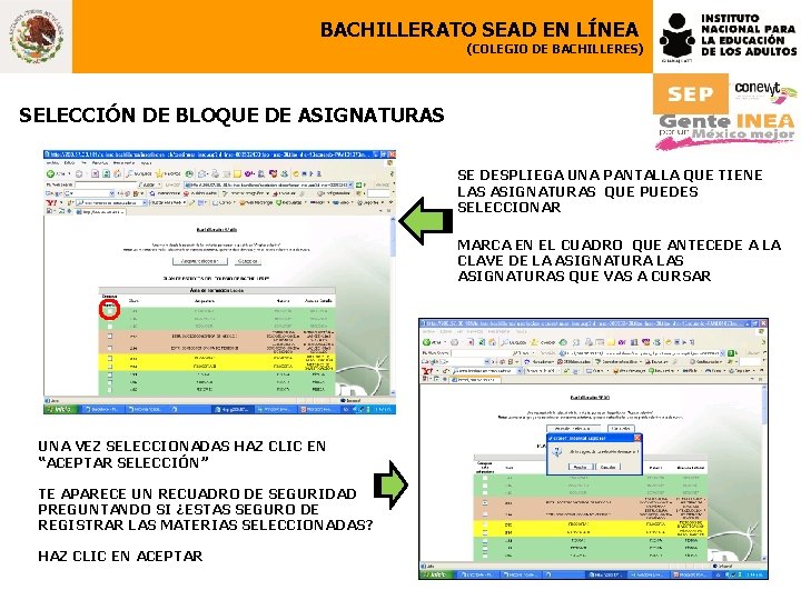 BACHILLERATO SEAD EN LÍNEA (COLEGIO DE BACHILLERES) SELECCIÓN DE BLOQUE DE ASIGNATURAS SE DESPLIEGA