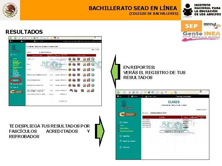 BACHILLERATO SEAD EN LÍNEA (COLEGIO DE BACHILLERES) RESULTADOS EN REPORTES: VERÁS EL REGISTRO DE