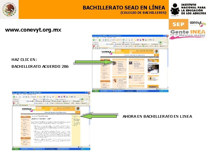 BACHILLERATO SEAD EN LÍNEA (COLEGIO DE BACHILLERES) www. conevyt. org. mx HAZ CLIC EN: