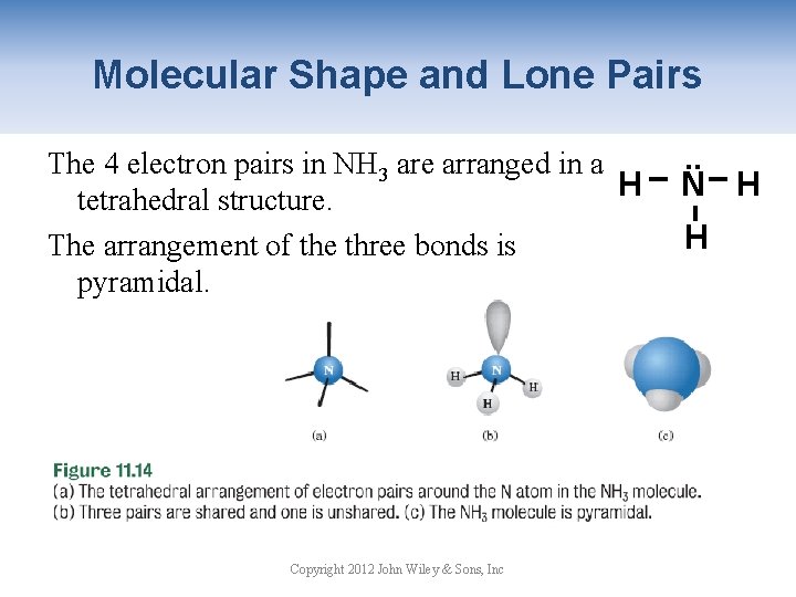 Molecular Shape and Lone Pairs The 4 electron pairs in NH 3 are arranged