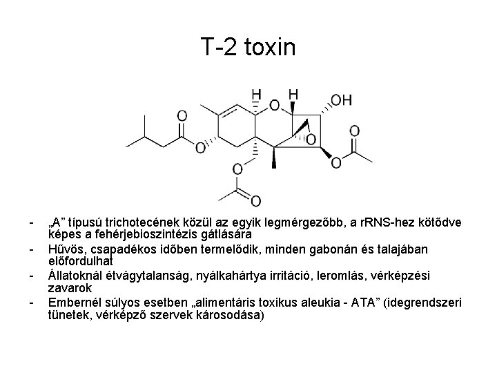T-2 toxin - „A” típusú trichotecének közül az egyik legmérgezőbb, a r. RNS-hez kötődve T-2 toxin - „A” típusú trichotecének közül az egyik legmérgezőbb, a r. RNS-hez kötődve