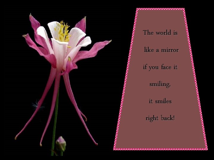 The world is like a mirror if you face it smiling, it smiles right