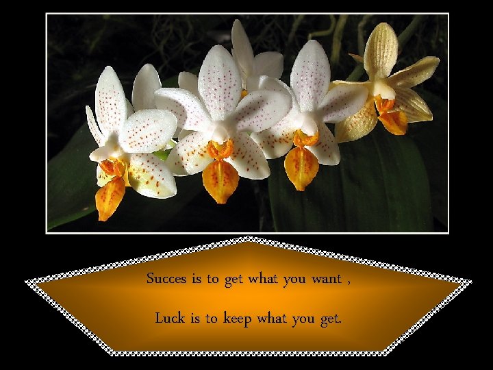 Succes is to get what you want , Luck is to keep what you